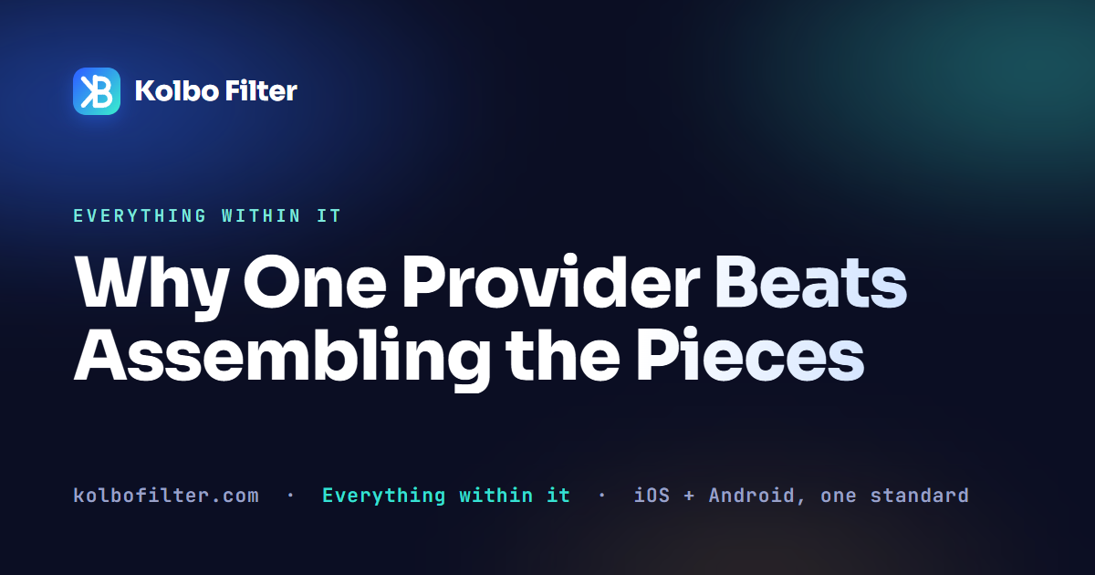 Why One Provider Beats Assembling the Pieces